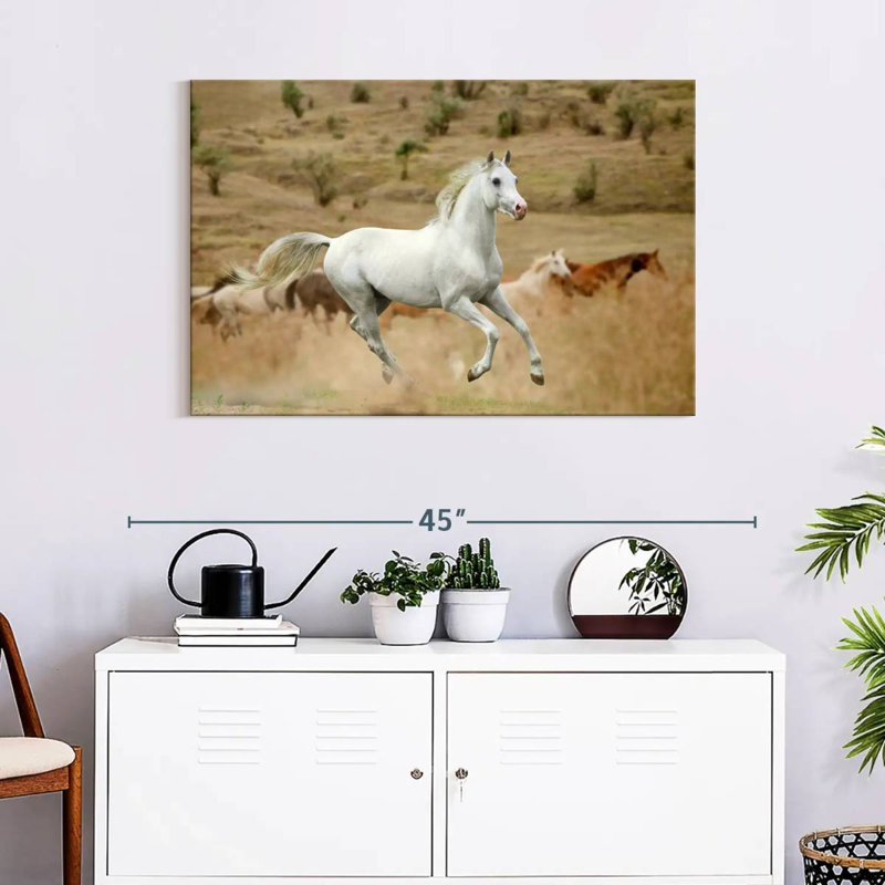 Prized White Stallion, 24" H x 36" W