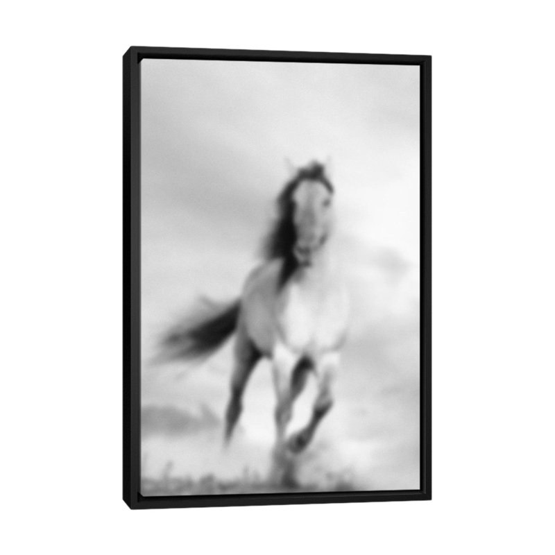 « brouilléed étalon », reproduction de photo sur toile tendue, H 48 po x l 32 po x P 1,5 po, Toile avec cadre noir