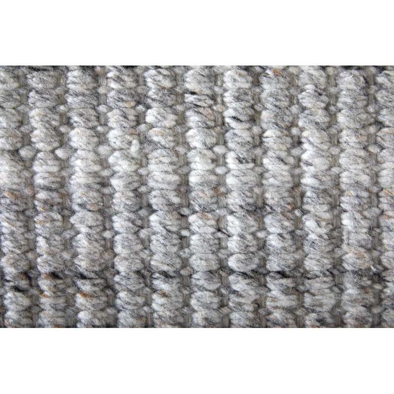 Limerick Hand Woven Recycled P.E.T Solid Color Area Rug in Gray, Rectangle 8' x 10'