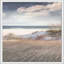 Reproduction de photo «Parmi les herbes marines»-30895161-30895339