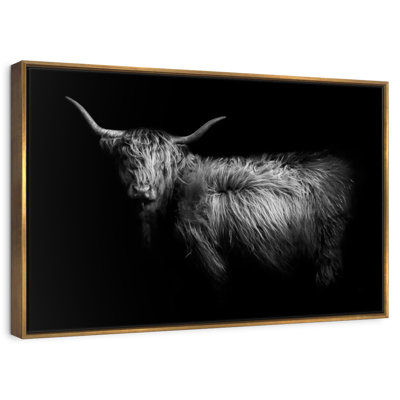 Hello Highland Cow