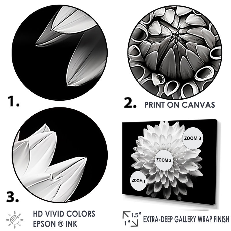 Dahlia en noir et blanc - impressions encadrées, Silver Floater Framed, H 12 po x l 20 po x P 1 po