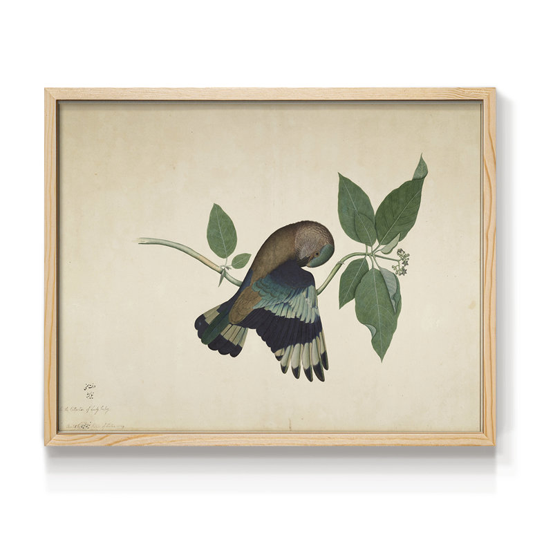 Faune rétro-XV - reproduction encadrée, Naturel, H 22 po x l 28 po