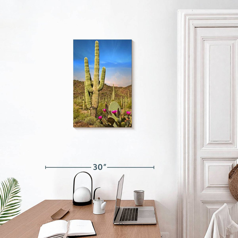 Harnek Saguaro et figuier de Barbarie cactus, H 24 po x l 16 po