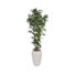Faux arbre artificiel en bambou de 87,5 po de hauteur et poteaux naturels Roemer