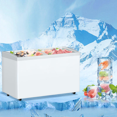 Egles Ice cream freezer-551S
