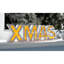 Christmas Decorative Accent
