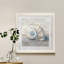 Blue Shell Study III-impression de cadre photo sur papier-145096536-145096524