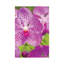 Garden by Panoramic Images - Wrapped Canvas Print-1471031945-1431022364