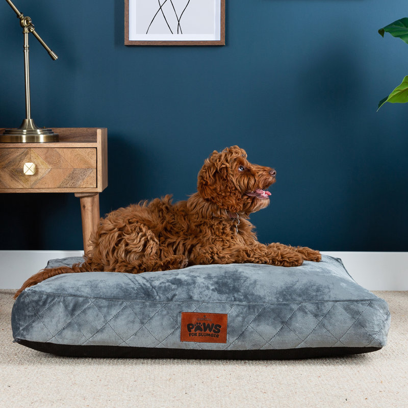 Slumberdown Paws for Slumber Raised Padded Dog Bed – Comfortable, Supportive & Durable Pet Bed for All Breeds, Grey