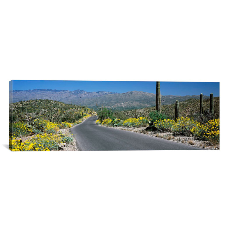 " Saguaro National Park, Tucson, Pima County, Arizona ", 12" H x 36" W x 1.5" D, Wrapped Canvas