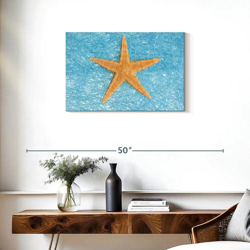 Unique starfish Aletra, H 20 po x l 30 po
