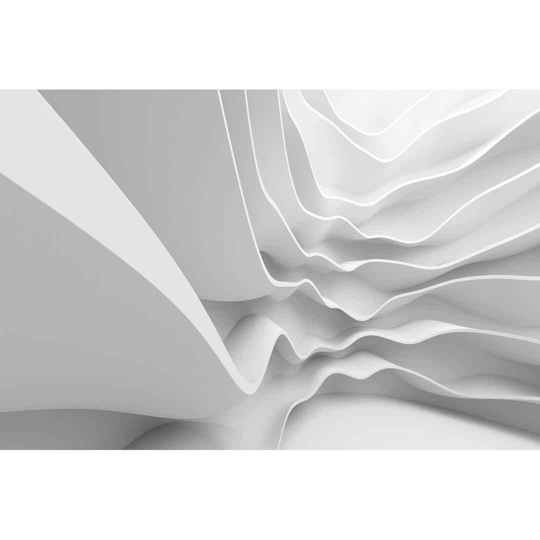 Anmol Abstract Wall Mural Brayden Studio®