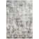 Radtke Oriental Indoor Rug