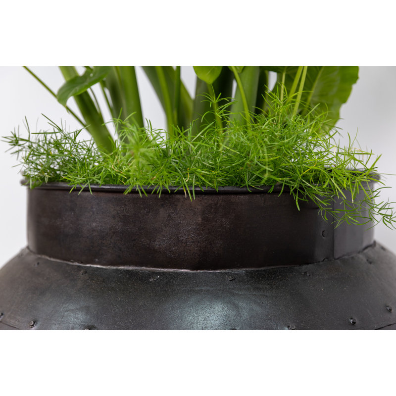 Jasenko Handmade Metal Pot Planter