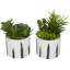 Feuillage artificiel en plastique Cole & Grey