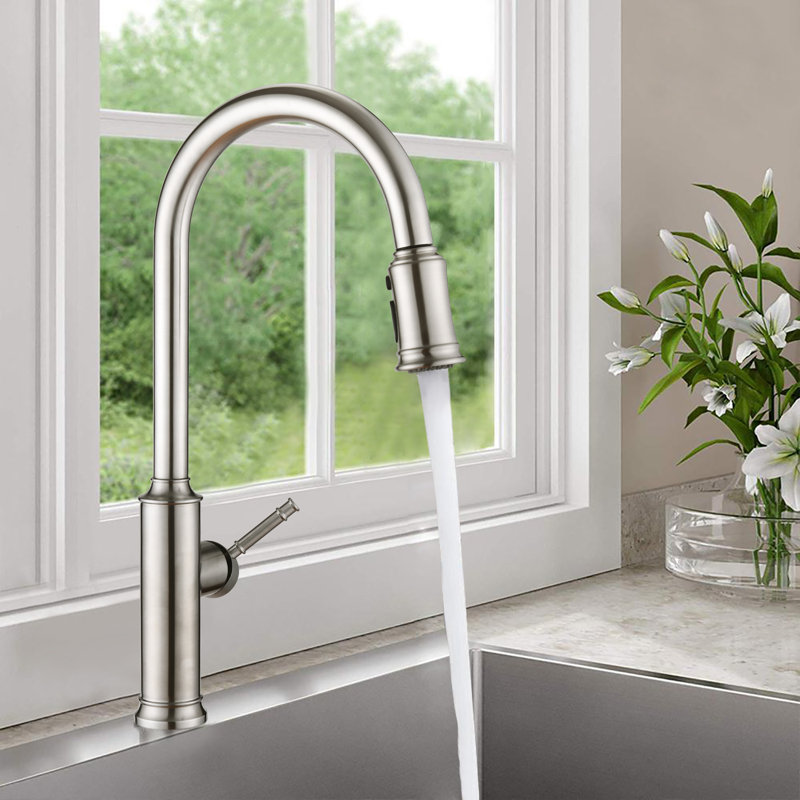 VANITYFAIR Pull Out Kitchen Faucet