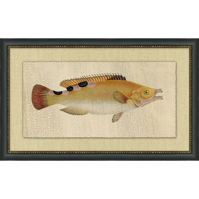 Fish Study 2 Painting