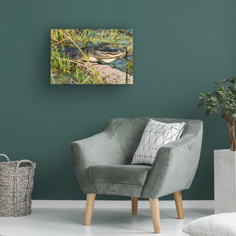 Art sur toile par Robert Michaud «Gator 1», H 30 po x l 47 po x P 2 po