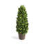 Alby Faux Plant-627489288