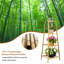 Ameyali Wood Plant Stand-1484354313