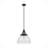 Cypress Grove 1 Light Dome Pendant?-71473839-91296813
