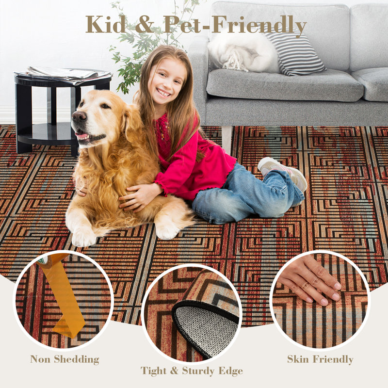 Area Rugs for Living Room Washable Rugs Modern Non Slip Area Rug for Bedroom Farmhouse Stain Resistant Carpet for Office Dining Room