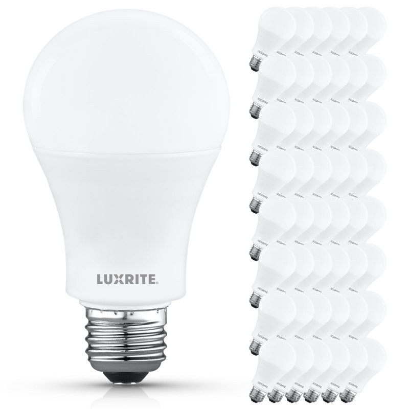 Ampoule DEL Luxrite A19 12,5W = 100W 5000K blanc brillant 1500LM Ampoule à DEL standard à intensité variable non incluse E26