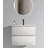 Cohron Wall-Mounted Floating Bathroom Vanity with Sink