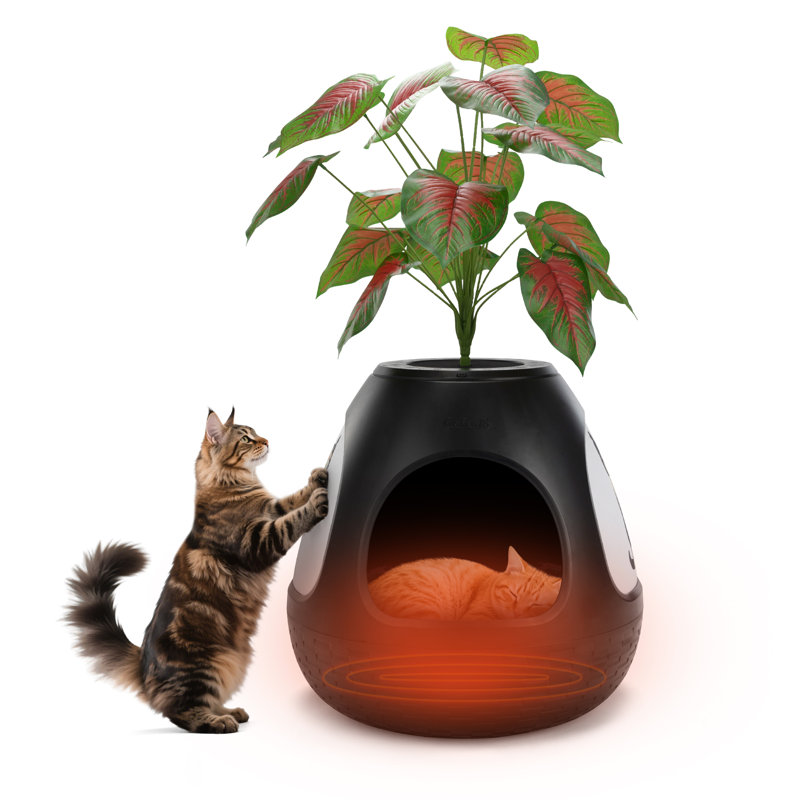 Maison pour chat chauffée avec purificateur d'air, Noir
