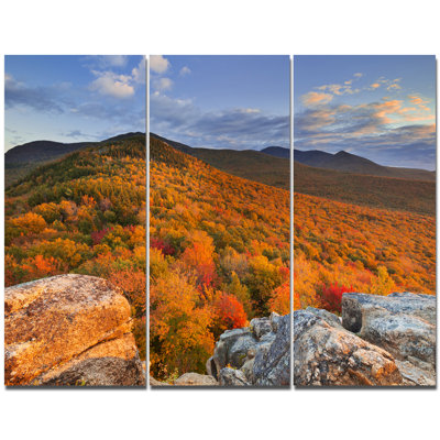 «Endless Forêts in the Fall Foliage», reproduction de photo à multiples images sur toile