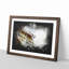 Downtown Las Vegas Sign Paint Splash - Picture Frame Graphic Art-56866392-56866396