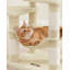 143cm H Cat Tree-100556295-100556302