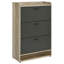 Armoire à chaussures Brittney-1663709630
