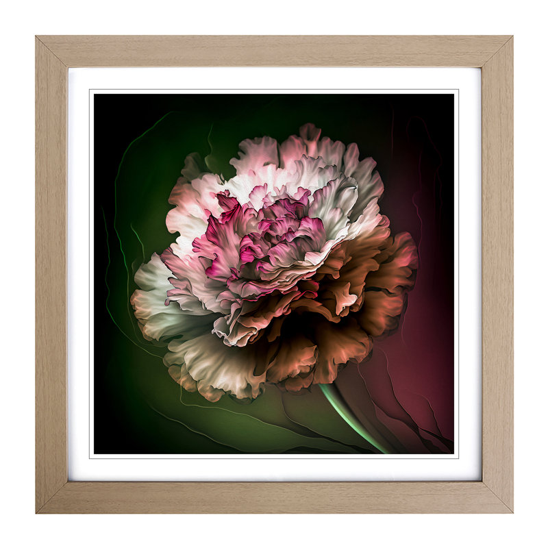Carnation Flower Abstract Expressionism No.2 - Framed Print, Oak
