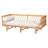 Deago Modern Bohemian Rattan Daybed