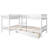Antanae Kids Twin Bunk Bed with Drawers-1138493012