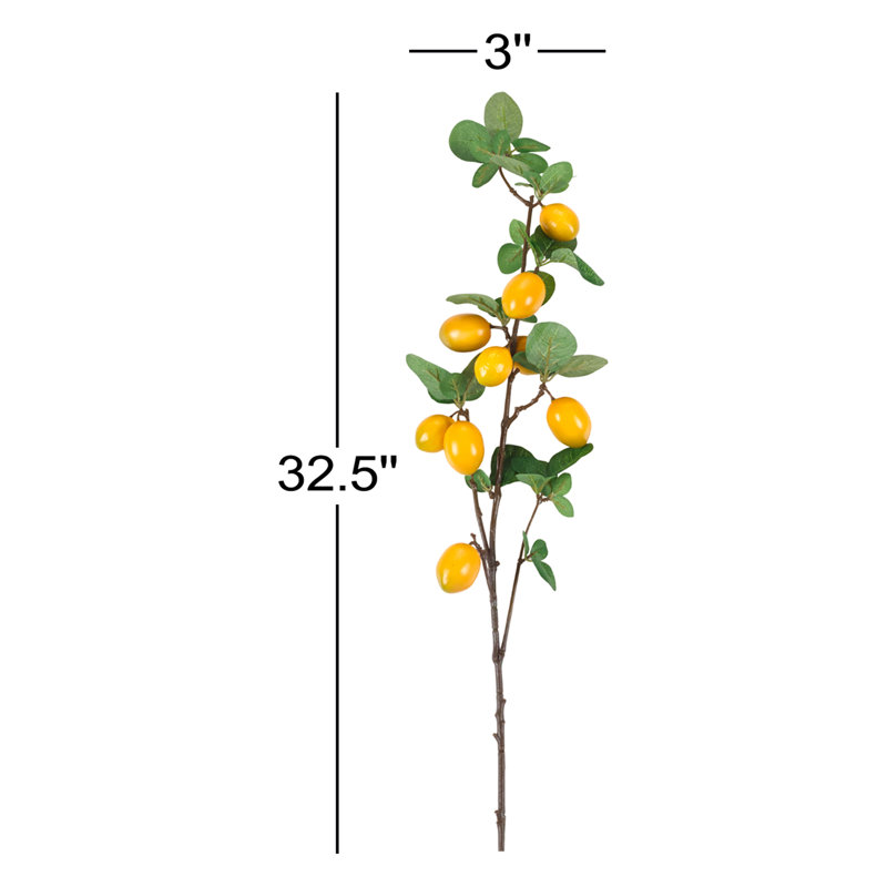 4 branches d'agrumes citron