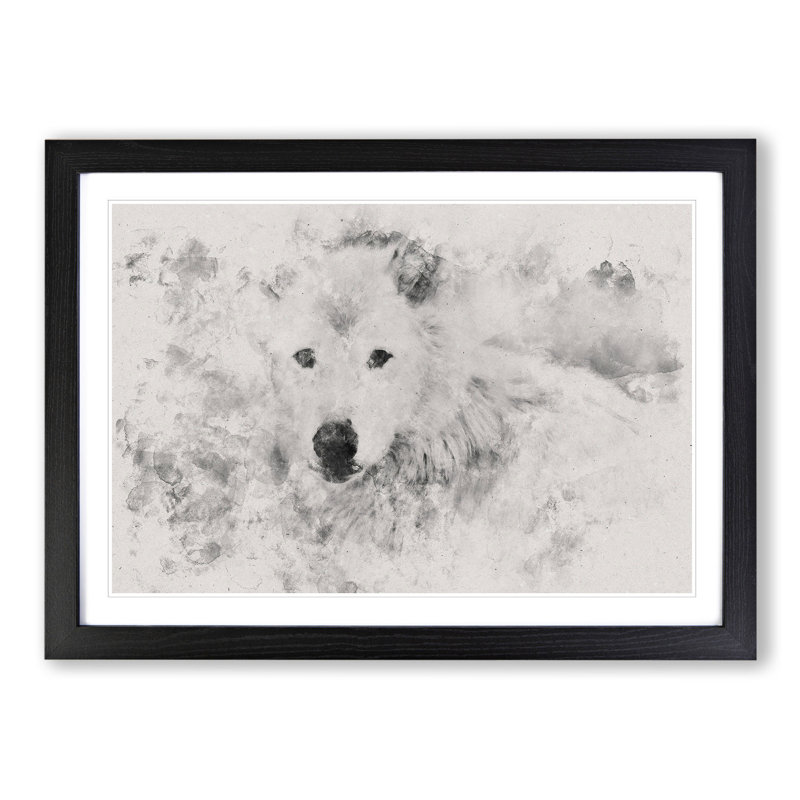 White Wolf - Picture Frame Graphic Art, 27cm H x 36cm W x 2cm D, Black Framed