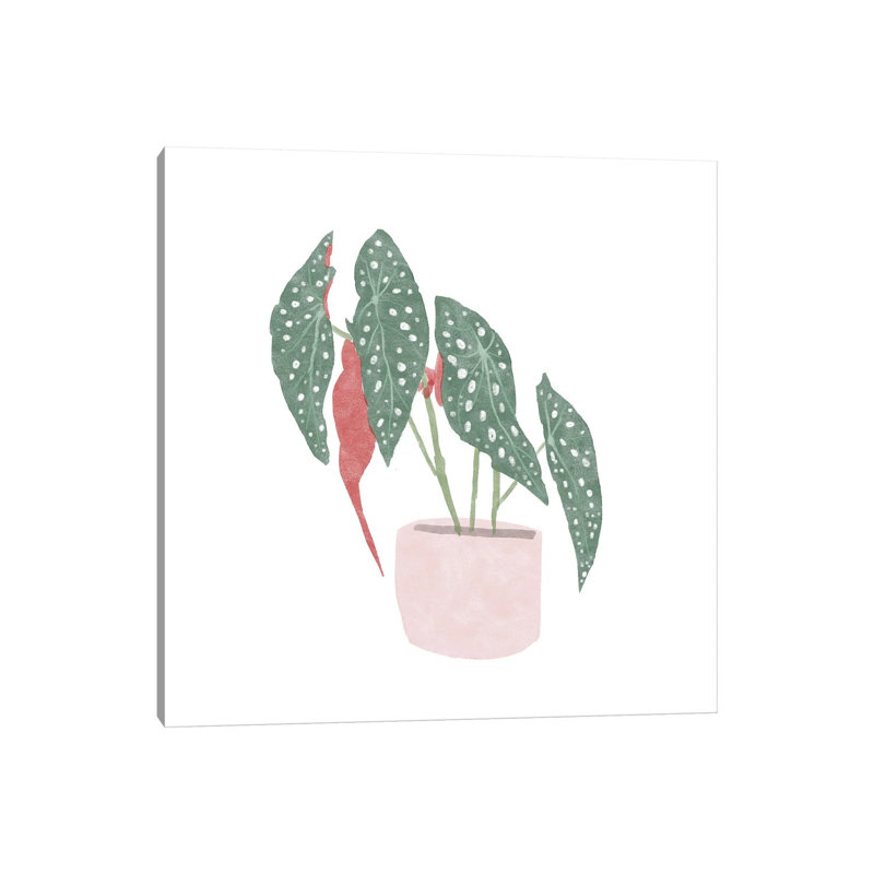 Polka Dot Begonia IV by Bannarot - Wrapped Canvas Gallery-Wrapped Canvas Giclée, 30.48 cm H x 30.48 cm W