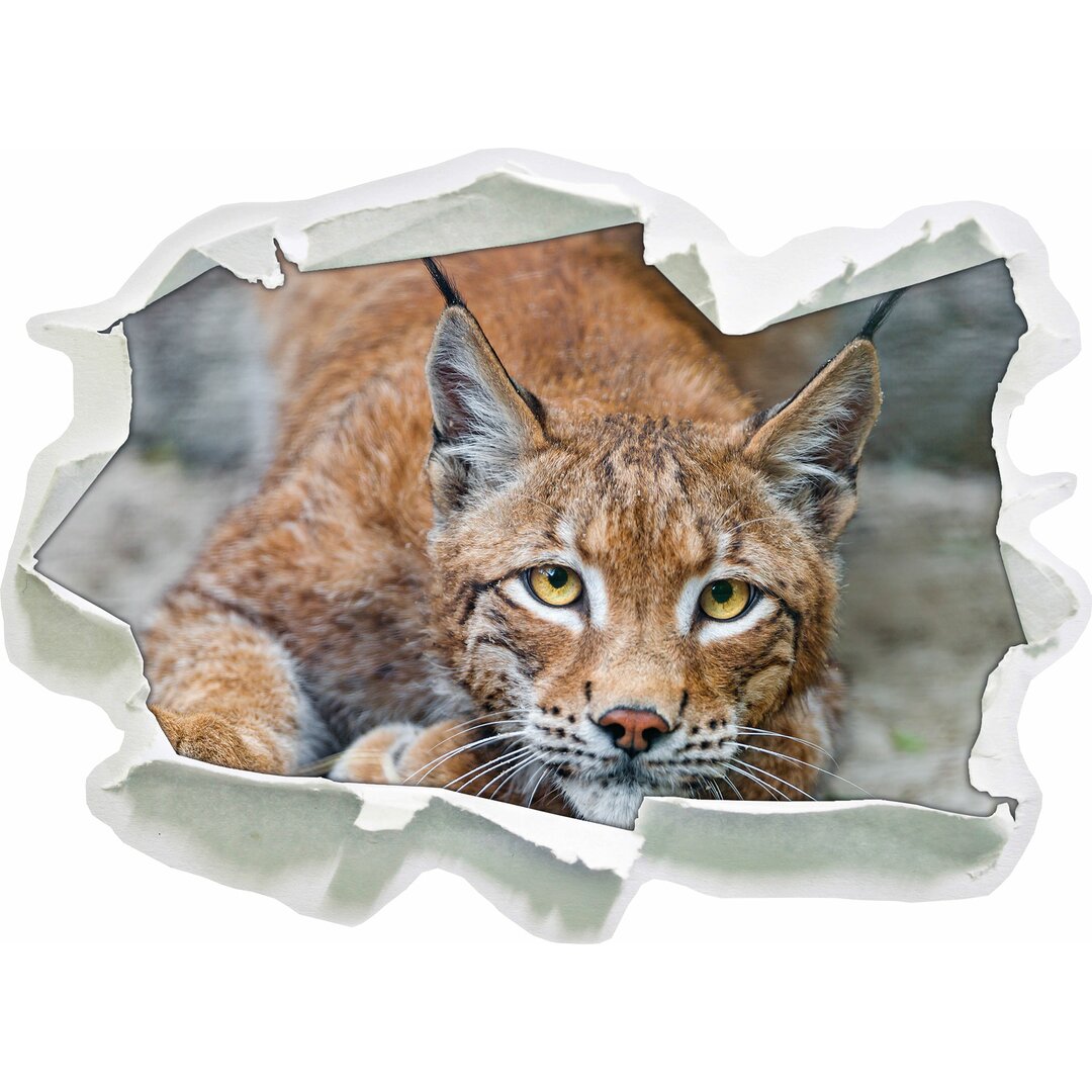 Wachsamer Luchs Wandaufkleber