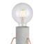 Callisto Desk Lamp