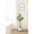 Jia Curved Round Indoor Planter Pot