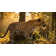 Panthera Solid Wood Bed Frame with Artistic Patterned Headboard