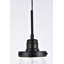 Luminaire suspendu simple à 1 lumière Amundson-1099064017
