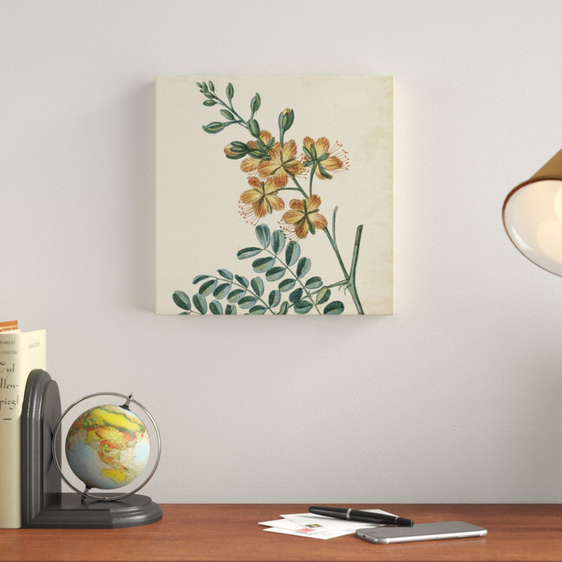 Garden Bounty III by Vision Studio - Wrapped Canvas Painting, 30cm H x 30cm W