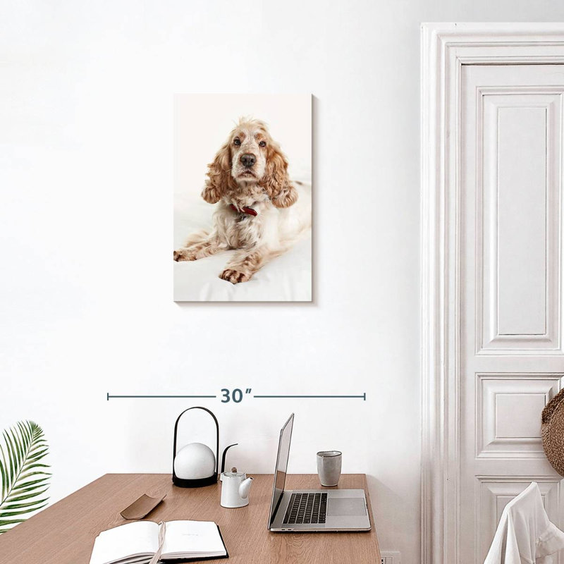 Resting Cocker Spaniel, 24" H x 16" W