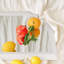 Amara Tempered Glass and Aluminum Alloy Framed French Cleat Mounted Wall Mirror-1238366704-1238366701