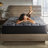 Twillery 12" Plush Hybrid Mattress-1141911071