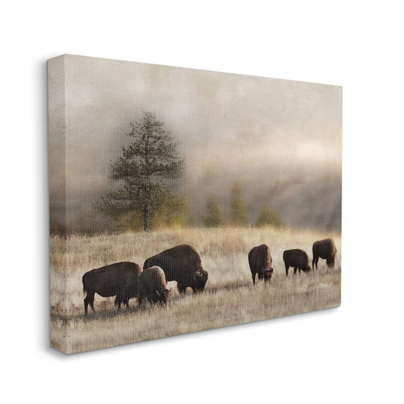 «Prairie Grassland» par Danita Delimont - photographie de cadre flottant, H 16 po x l 20 po x P 1,5 po, Toile tendue